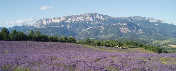 Monte Escalier 26 Monte escalier Drôme