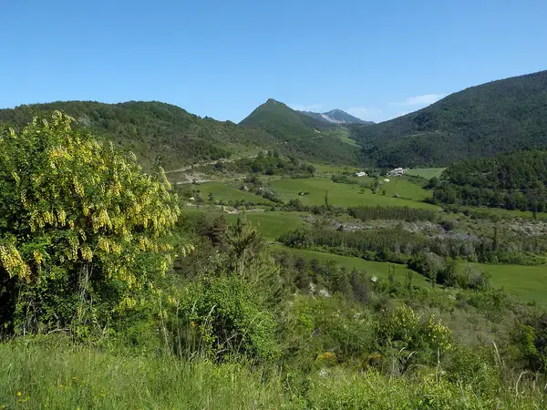 Monte Escalier 26 Monte escalier Gumiane